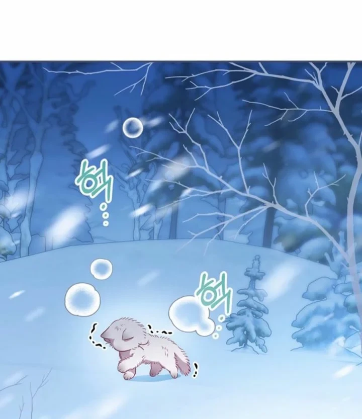 A Baby Cat Who Commands the Dog Clan Chapter 1 Gambar 26
