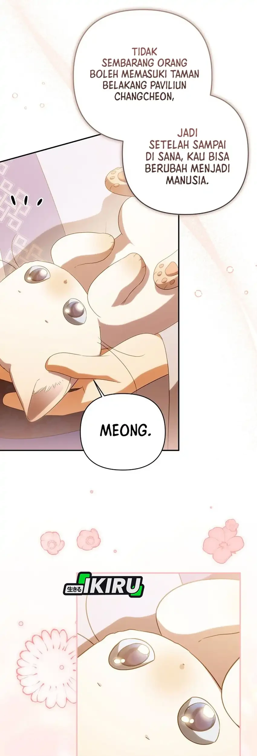 A Baby Cat Who Commands the Dog Clan Chapter 23 Gambar 49