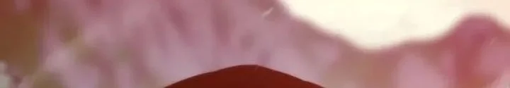 Past Life Regressor (Remake 2022) Chapter 153 Gambar 32
