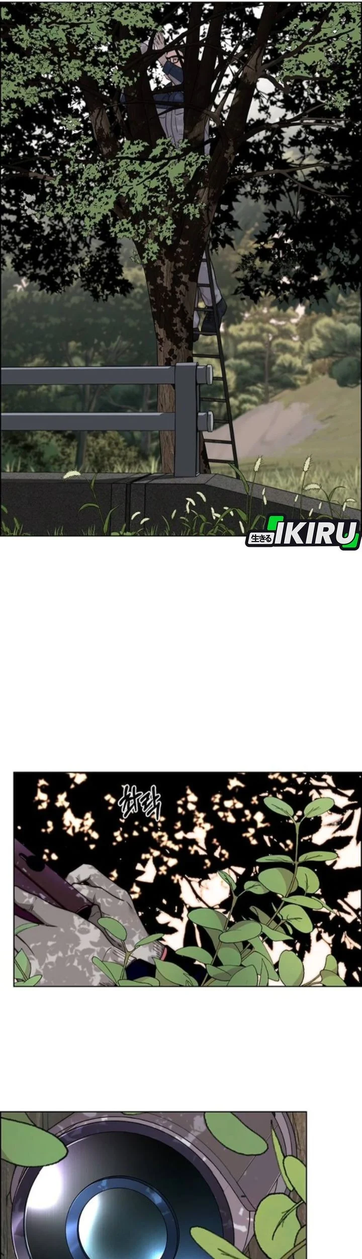 The Man   Chapter 259 Gambar 19