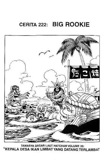 Komik One Piece Chapter 222 gambar 1